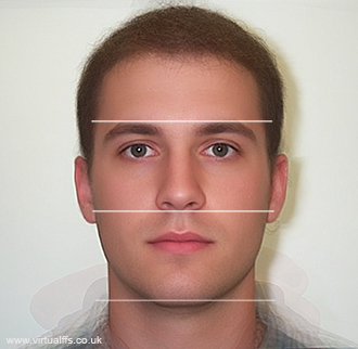 Male body image dissertation 08 picture